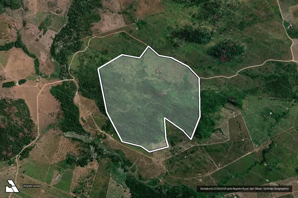 Imagem de satélite de Infração da Flora em Novo Progresso - PA
