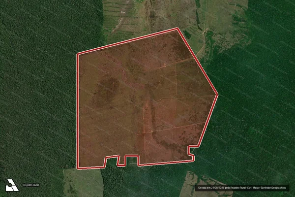 Imagem de satélite de Infração da Flora em Boca do Acre - AM