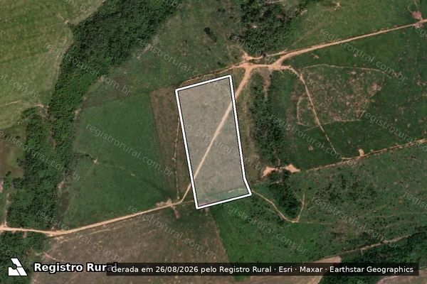 Imagem de satélite de Infração da Flora em Novo Progresso - PA