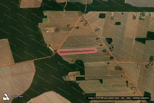Imagem de satélite de Infração da Flora em Nova Ubiratã - MT