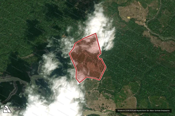 Imagem de satélite — Embargo IBAMA — Infração da Flora - Careiro da Várzea/AM