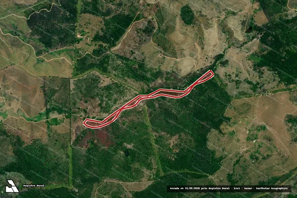 Imagem de satélite — Embargo IBAMA — Infração da Flora — Capela/AL