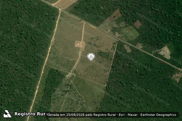 Imagem de satélite de Infração da Flora em Uruará - PA (marcador da localização)