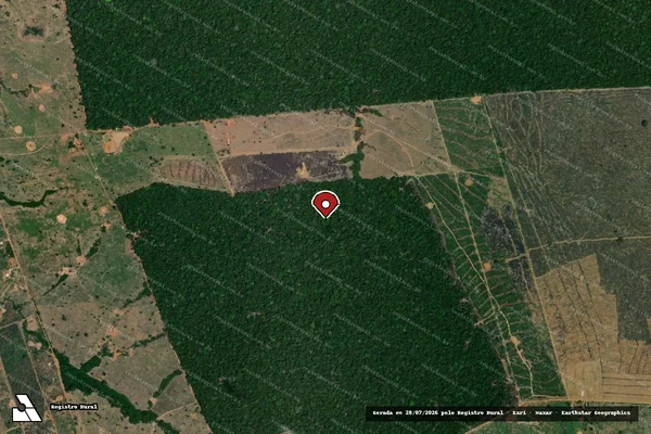 Imagem de satélite de Infração da Flora em Porto Velho - RO (marcador da localização)