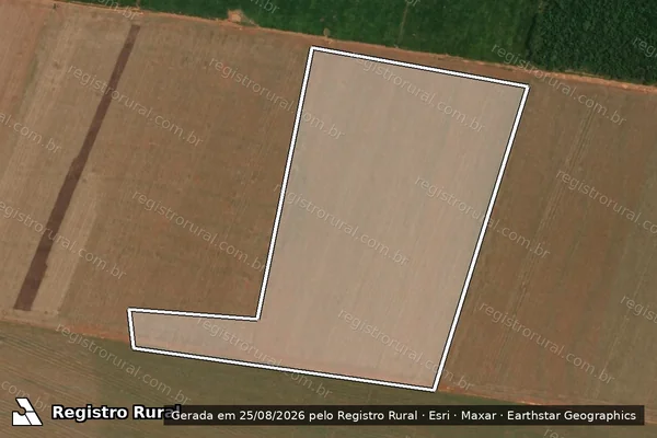 Imagem de satélite de Infração Ambiental em Querência - MT