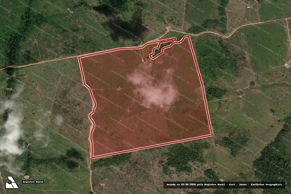 Imagem de satélite de Infração da Flora em Novo Progresso - PA