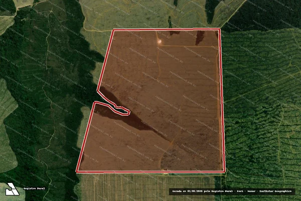 Imagem de satélite de Infração da Flora em Dom Eliseu - PA