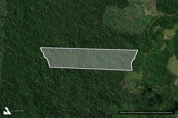 Imagem de satélite — Embargo IBAMA — Infração da Flora - Uruará/PA
