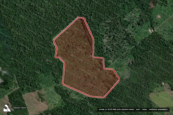 Imagem de satélite de Infração da Flora em São Félix do Xingu - PA