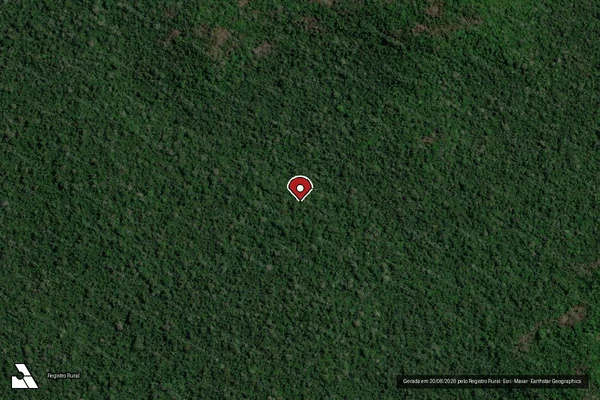 Imagem de satélite de Infração da Flora em Altamira - PA (marcador da localização)