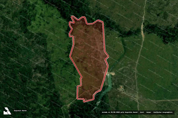 Imagem de satélite de Infração da Flora em Portel - PA