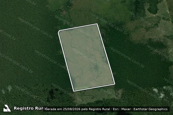 Imagem de satélite de Infração Ambiental em Apuí - AM