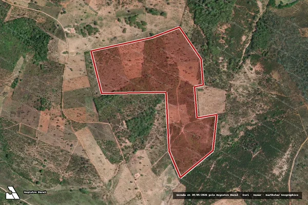 Imagem de satélite de Infração da Flora em Inhapi - AL