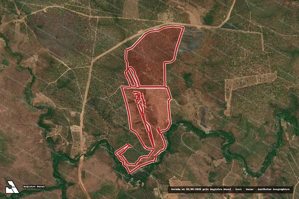 Imagem de satélite de Infração da Flora em Mirador - MA
