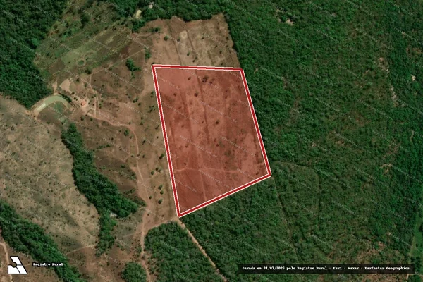 Imagem de satélite de Infração da Flora em Monte Santo do Tocantins - TO