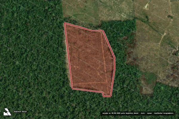 Imagem de satélite de Infração Ambiental em Rorainópolis - RR