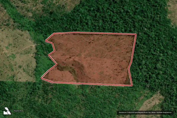 Imagem de satélite de Infração da Flora em Pacajá - PA