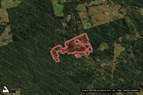 Imagem de satélite de Infração da Flora em Turvo - PR