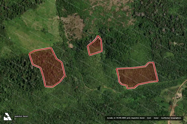 Imagem de satélite — Embargo IBAMA — Infração da Flora — Uruará/PA