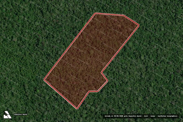 Imagem de satélite de Infração Ambiental em Rorainópolis - RR