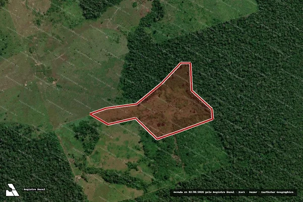 Imagem de satélite de Infração da Flora em Boca do Acre - AM