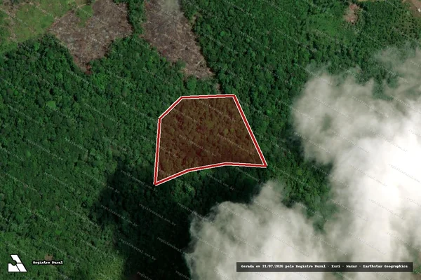 Imagem de satélite de Infração Ambiental em Tartarugalzinho - AP