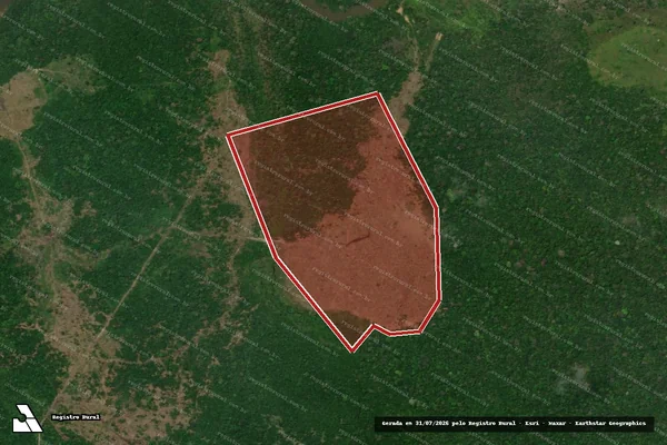 Imagem de satélite de Infração da Flora em Rorainópolis - RR