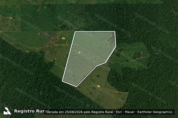Imagem de satélite de Infração da Flora em Porto Velho - RO