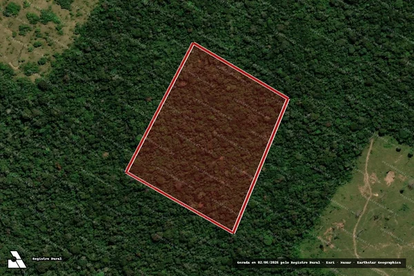 Imagem de satélite de Infração da Flora em Manoel Urbano - AC