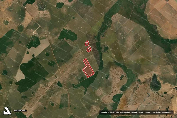Imagem de satélite — Embargo IBAMA — Infração da Flora — Aruanã/GO