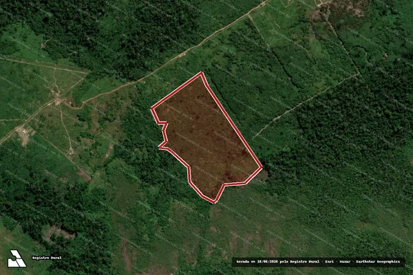 Imagem de satélite de Infração Ambiental em Apuí - AM