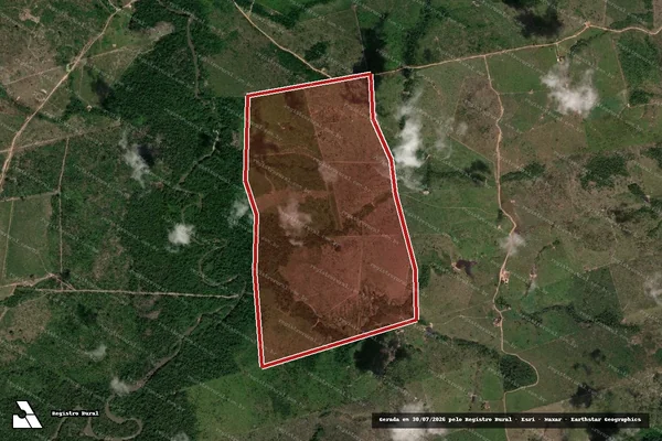 Imagem de satélite de Infração da Flora em Novo Progresso - PA