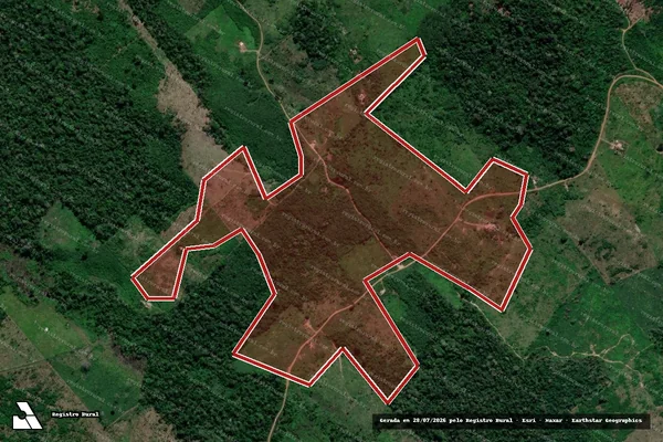 Imagem de satélite de Infração da Flora em Anapu - PA