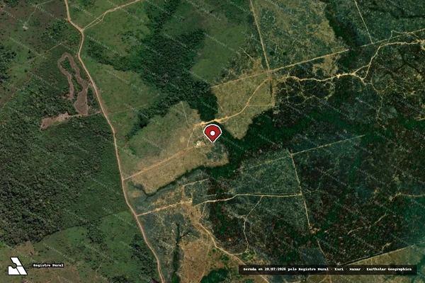 Imagem de satélite de Infração da Flora em Novo Progresso - PA (marcador da localização)