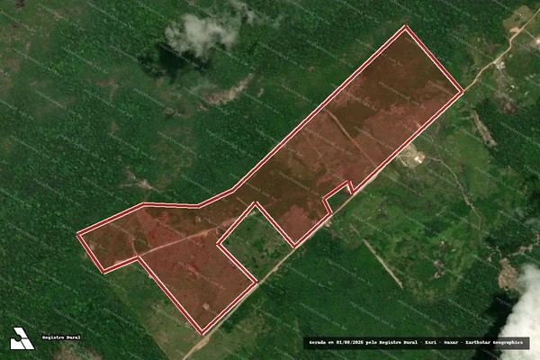 Imagem de satélite de Infração da Flora em Cantá - RR