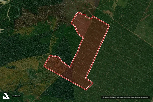 Imagem de satélite de Infração da Flora em Porto Velho - RO