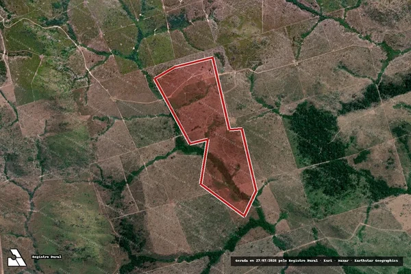 Imagem de satélite de Infração da Flora em Novo Progresso - PA