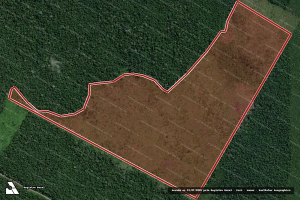 Imagem de satélite — Embargo IBAMA — Infração da Flora — Humaitá/AM