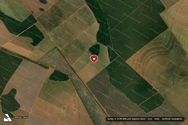 Imagem de satélite de Infração Ambiental em Brasnorte - MT (marcador da localização)