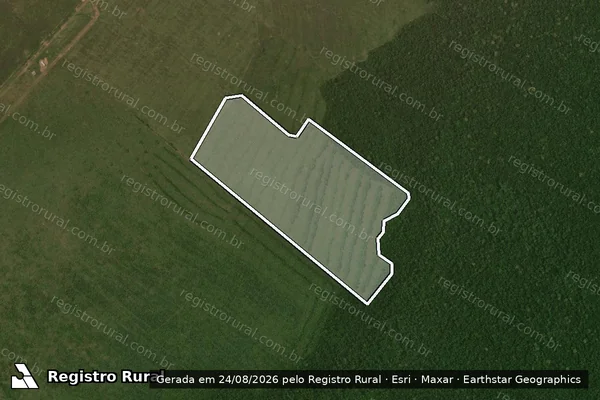 Imagem de satélite de Infração da Flora em Marcelândia - MT