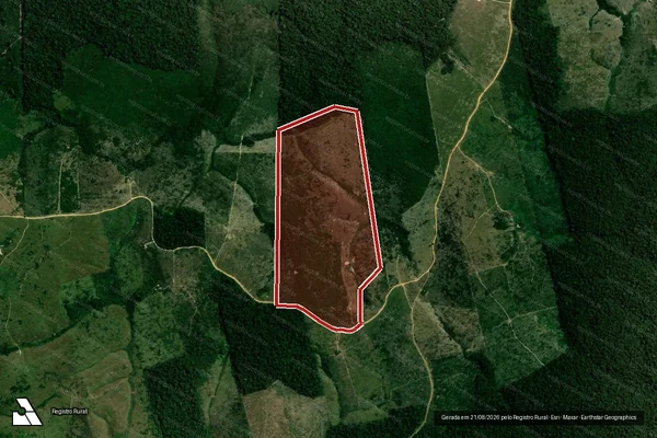 Imagem de satélite de Infração da Flora em Portel - PA
