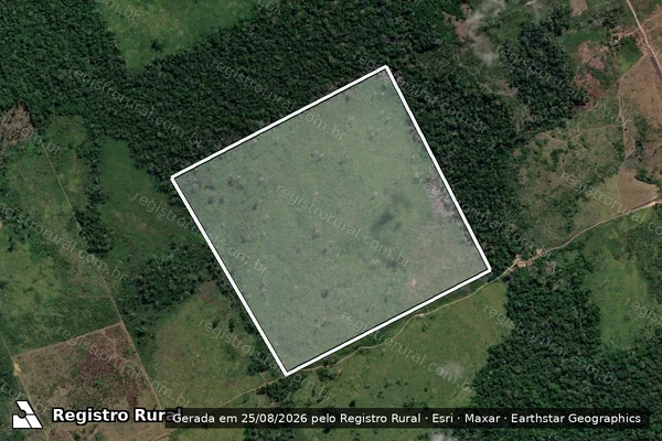 Imagem de satélite de Infração da Flora em Lábrea - AM