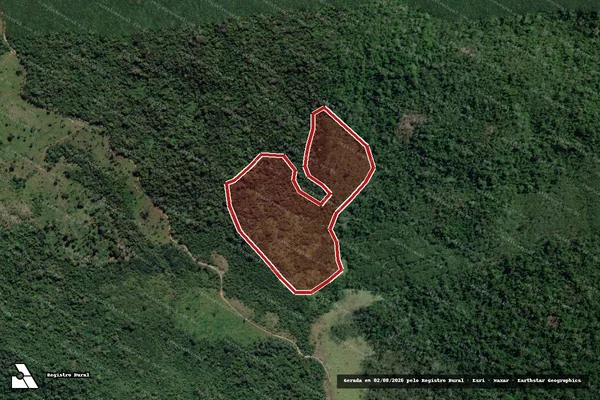 Imagem de satélite de Infração Ambiental em Novo Progresso - PA