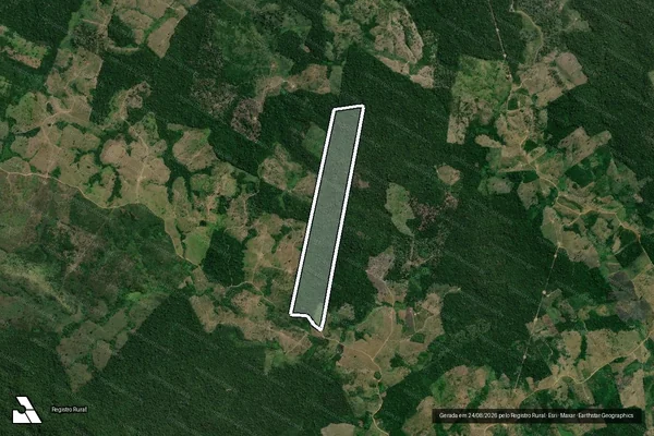 Imagem de satélite de Infração da Flora em Novo Repartimento - PA