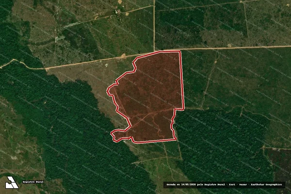 Imagem de satélite de Infração Ambiental em Porto Velho - RO