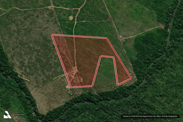 Imagem de satélite de Infração Ambiental em Uruará - PA
