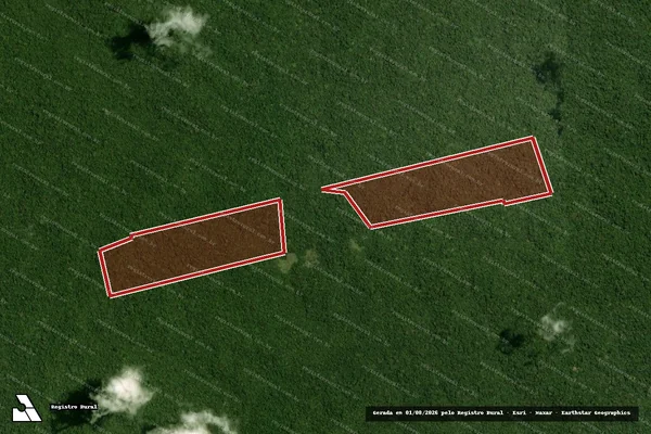 Imagem de satélite — Embargo IBAMA — Infração da Flora - Portel/PA