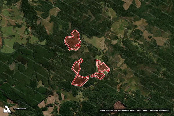 Imagem de satélite de Infração da Flora em Guarapuava - PR
