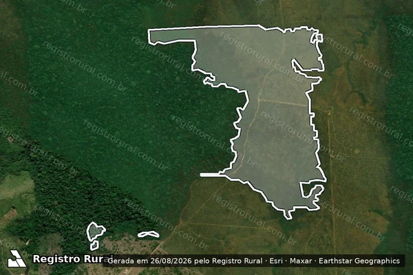 Imagem de satélite de Infração da Flora em Apuí - AM
