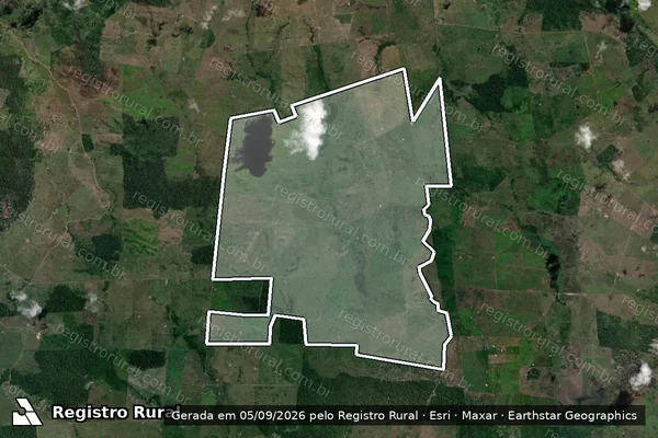 Imagem de satélite de Infração da Flora em São Félix do Xingu - PA